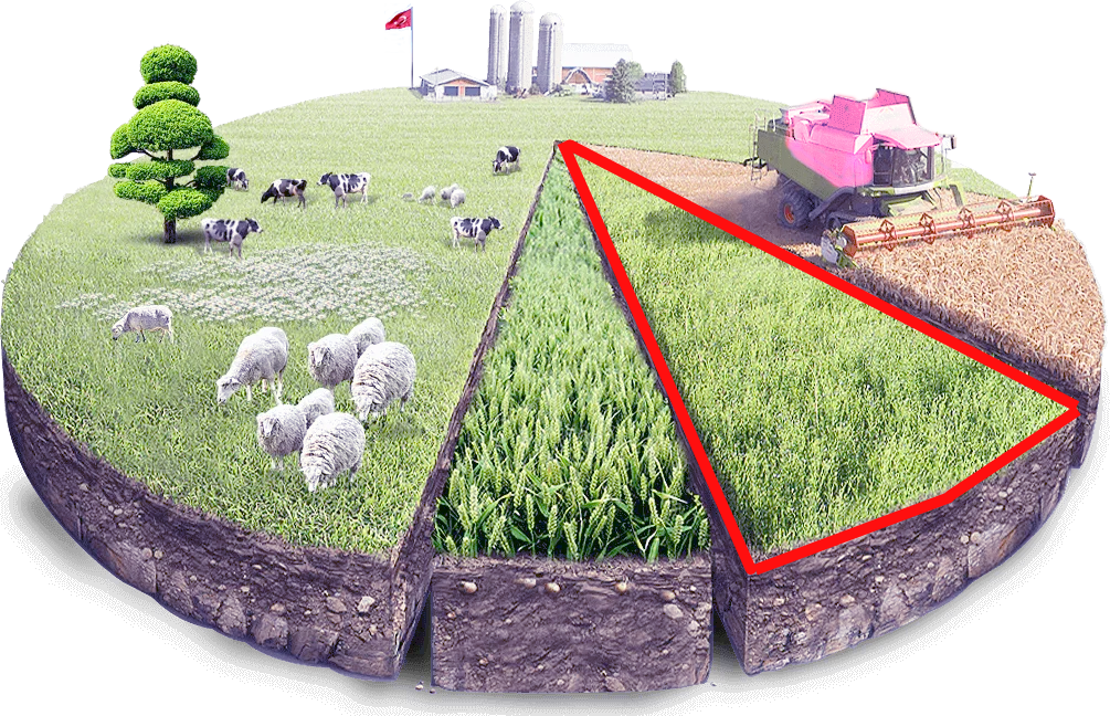Кадастровые работы. Межевание участков, составление технических планов